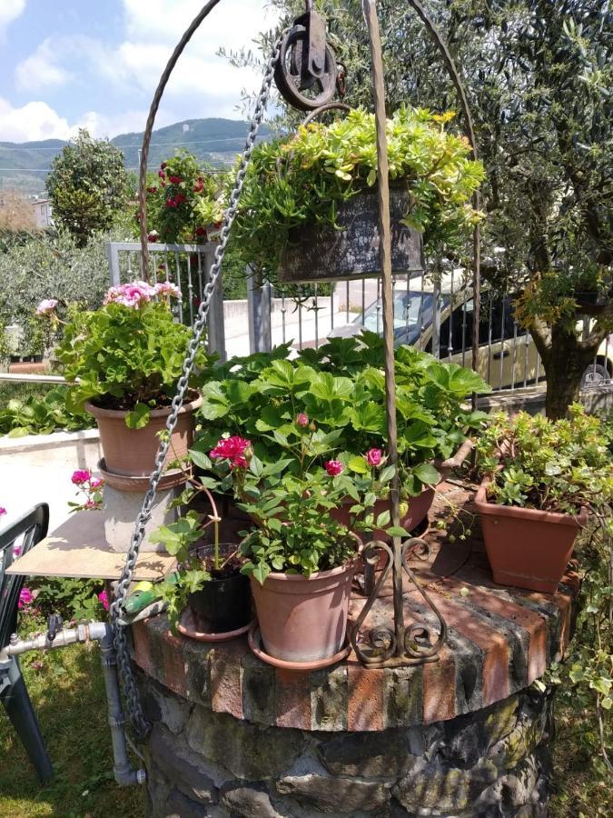 Al Pozzo Bed and Breakfast Negrar Εξωτερικό φωτογραφία