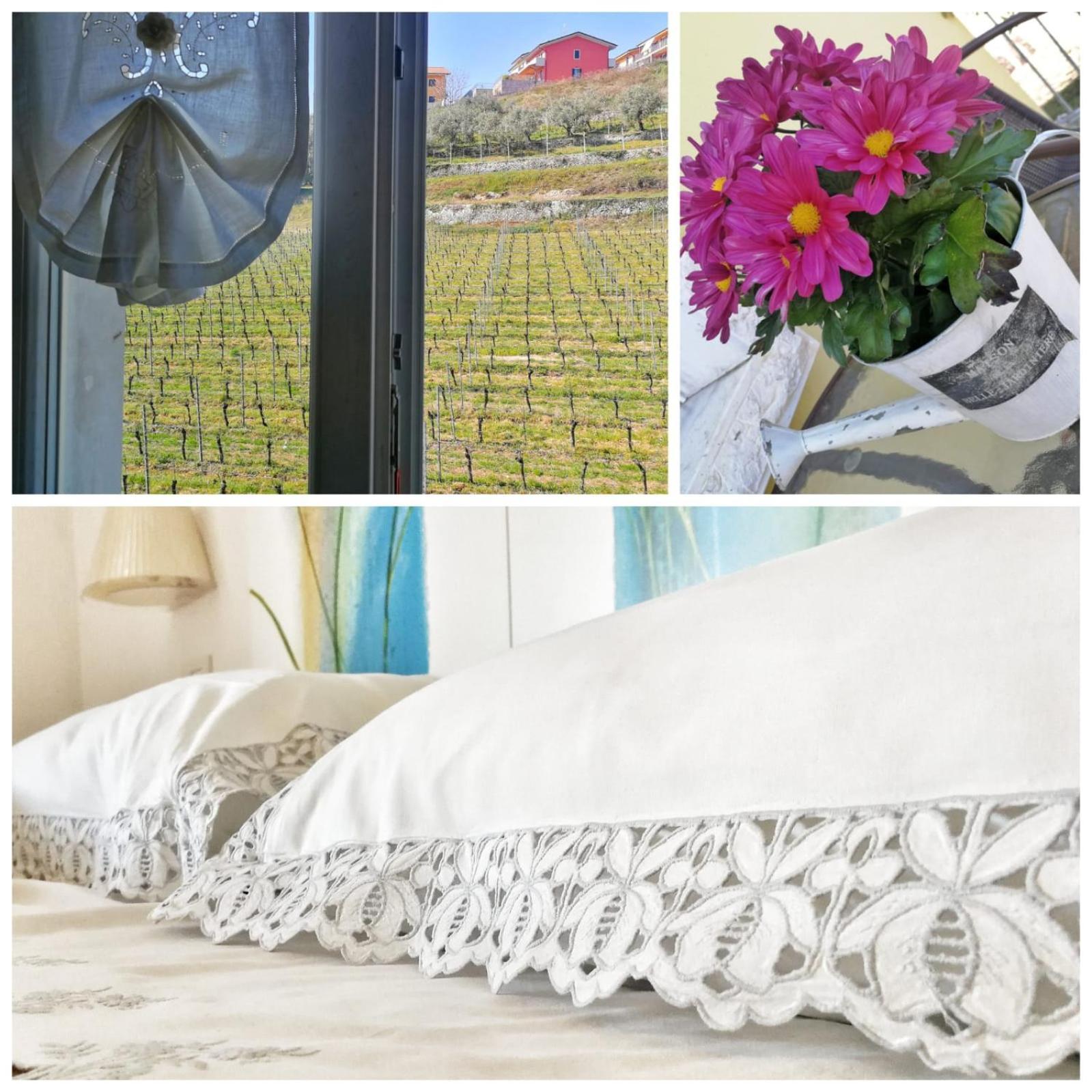 Al Pozzo Bed and Breakfast Negrar Εξωτερικό φωτογραφία